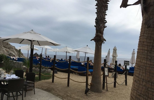 The Residents in Cabo San Lucas