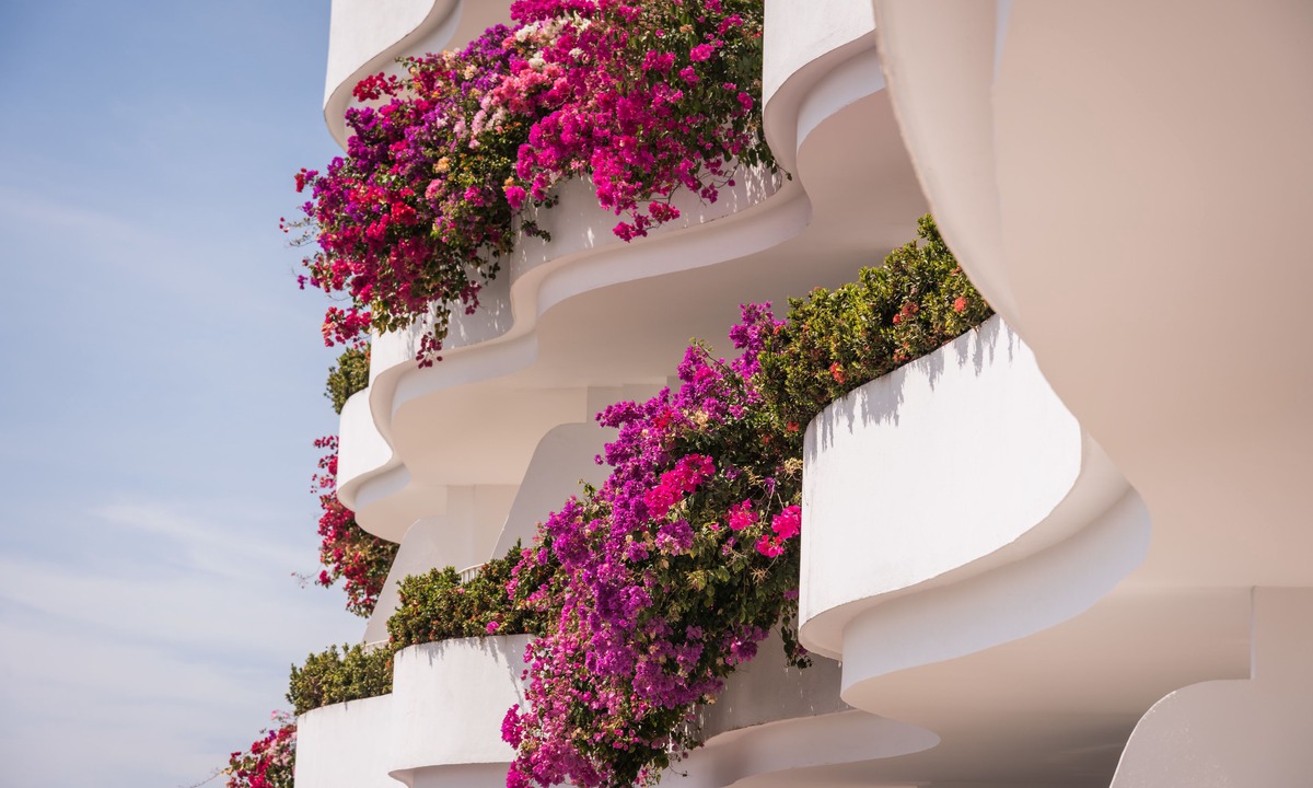 Conchas Chinas Hotel | Grand Miramar All Luxury Suites & Residences