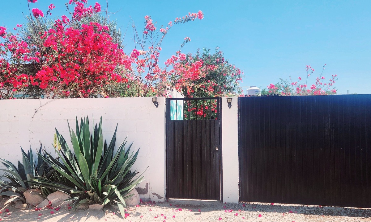 Mulege House | Charming 2-bedroom bungalow in beautiful Mulegé with Pool