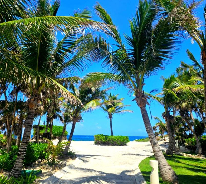 Akumal Villa | CISNE Luxury House