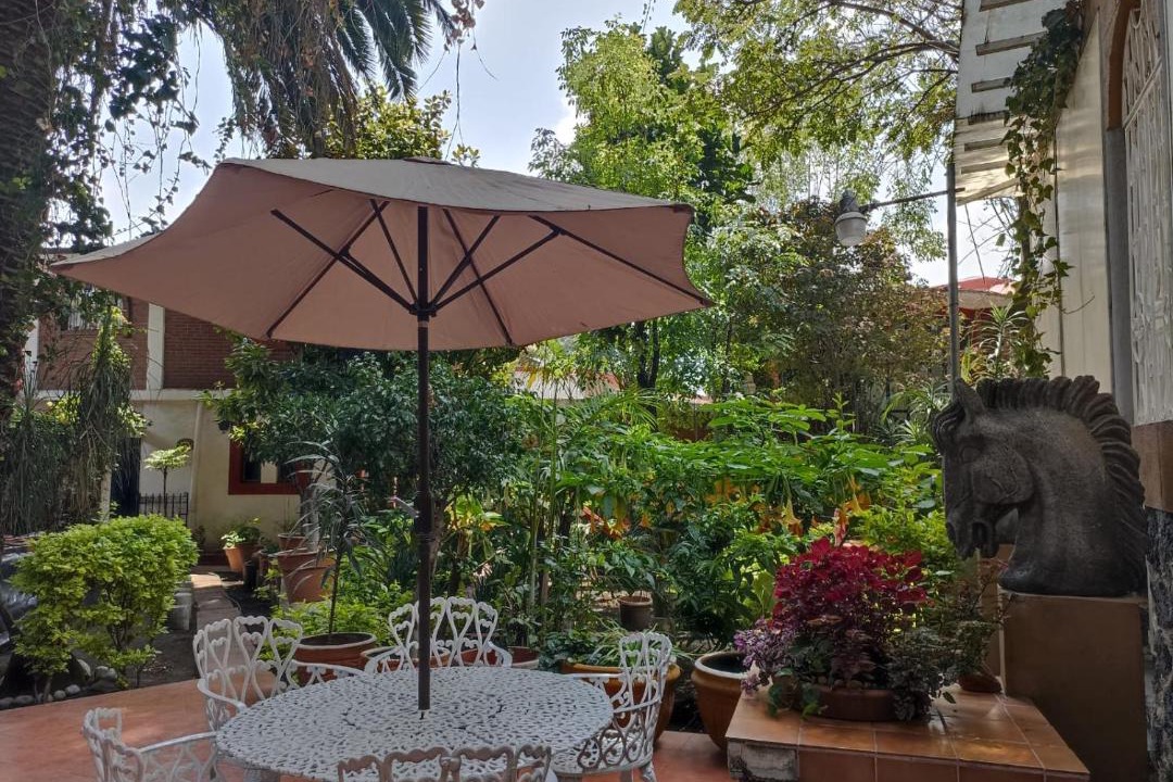 Santa Ursula Coapa Apartment | Suite Tlaloc