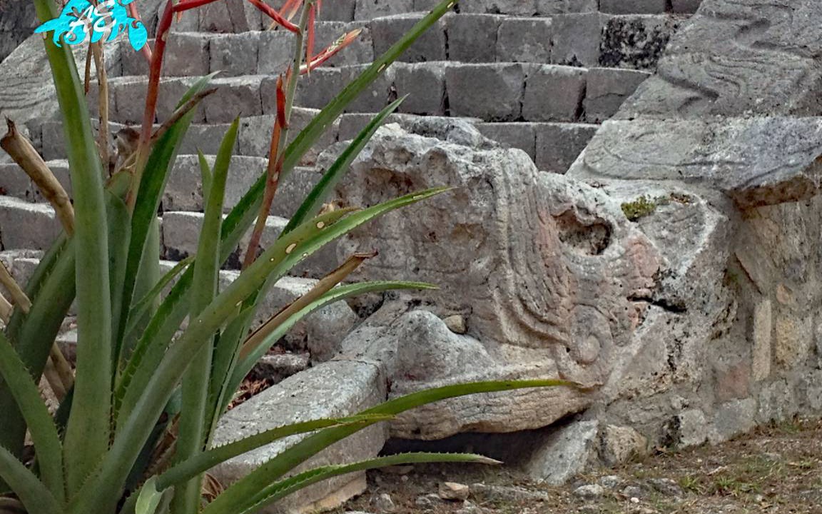 Photo of Others in Akumal