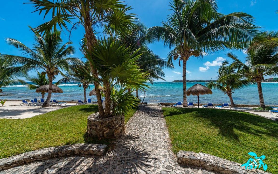 Photo of Others in Akumal