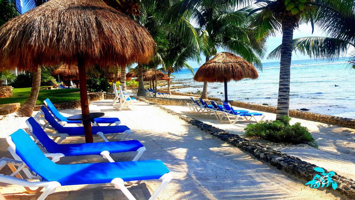 Photo of Others in Akumal