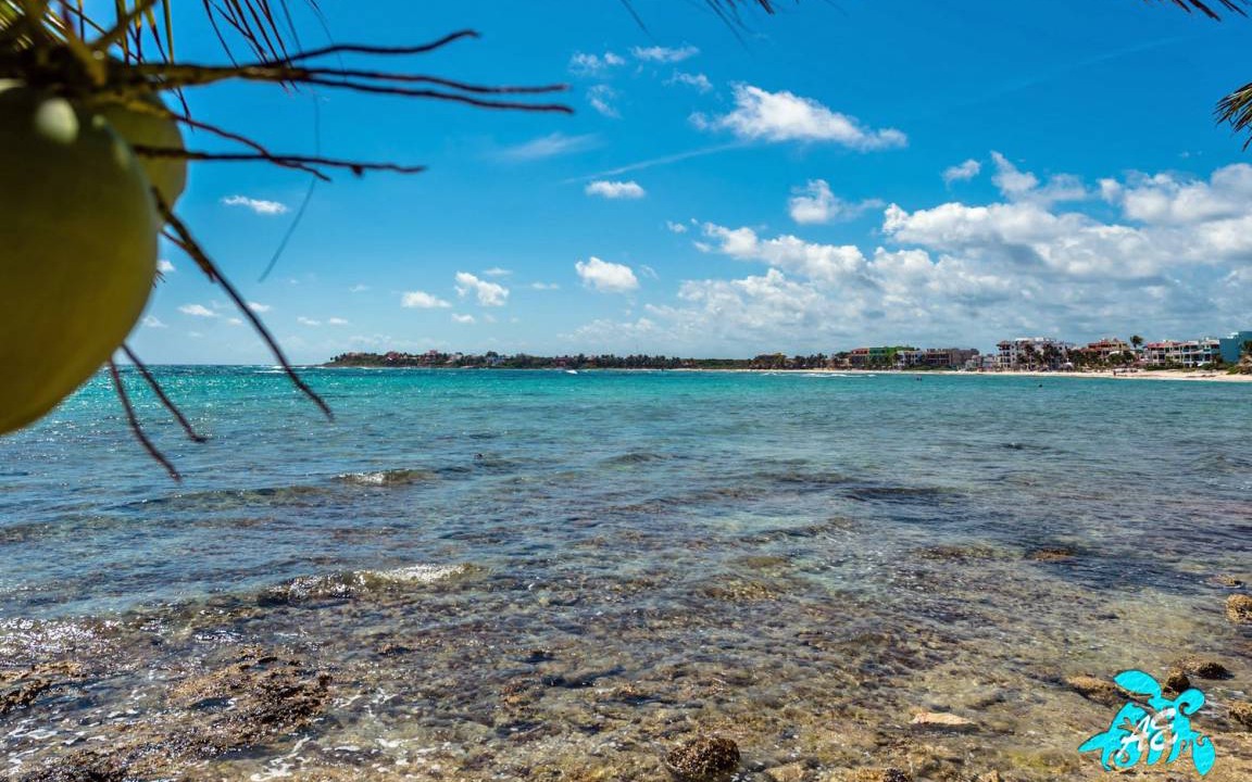 Photo of Others in Akumal