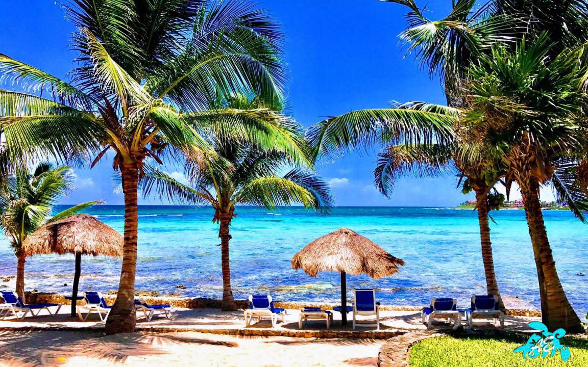 Photo of Others in Akumal