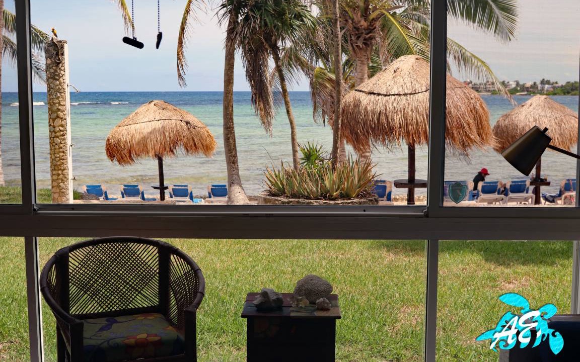 Photo of Others in Akumal