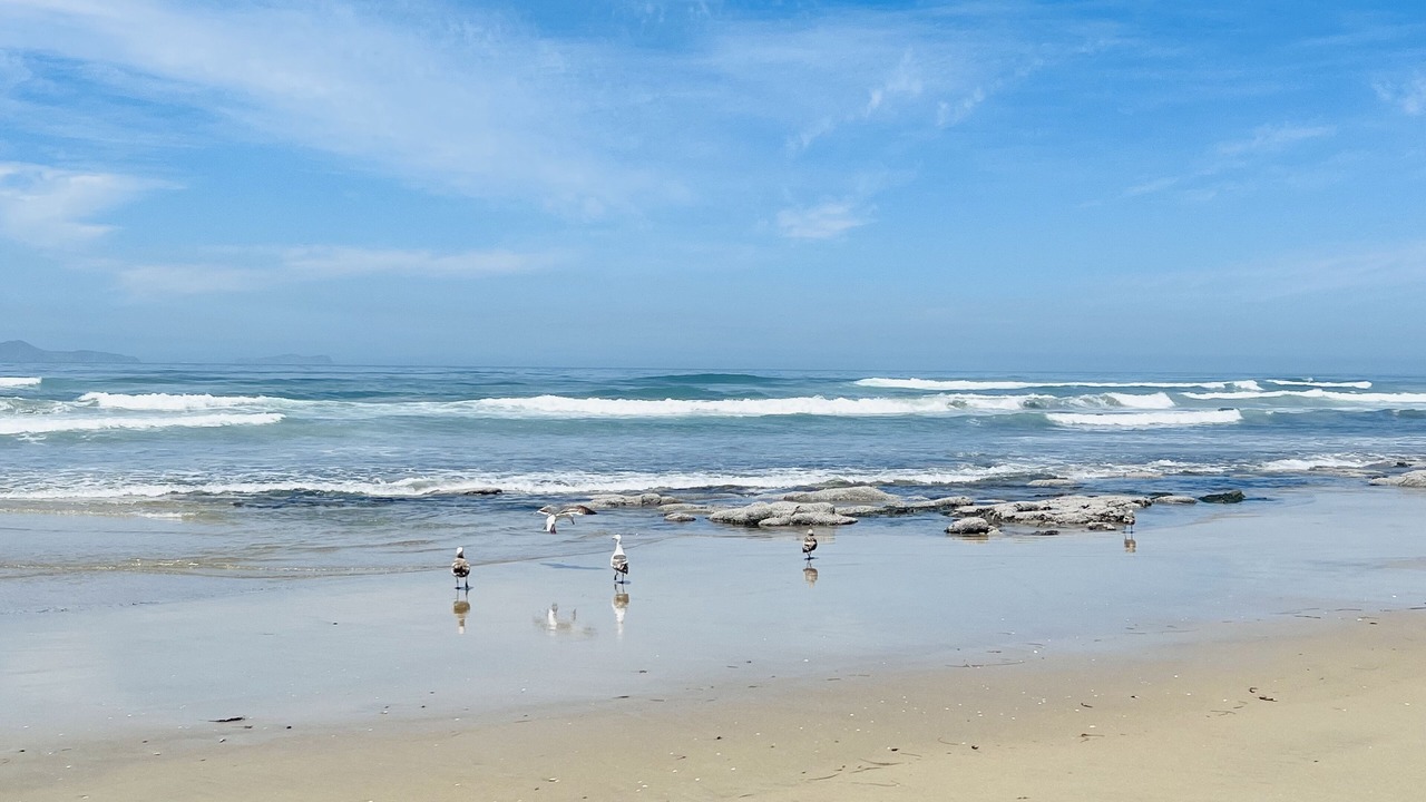 Photo of Others in Rosarito