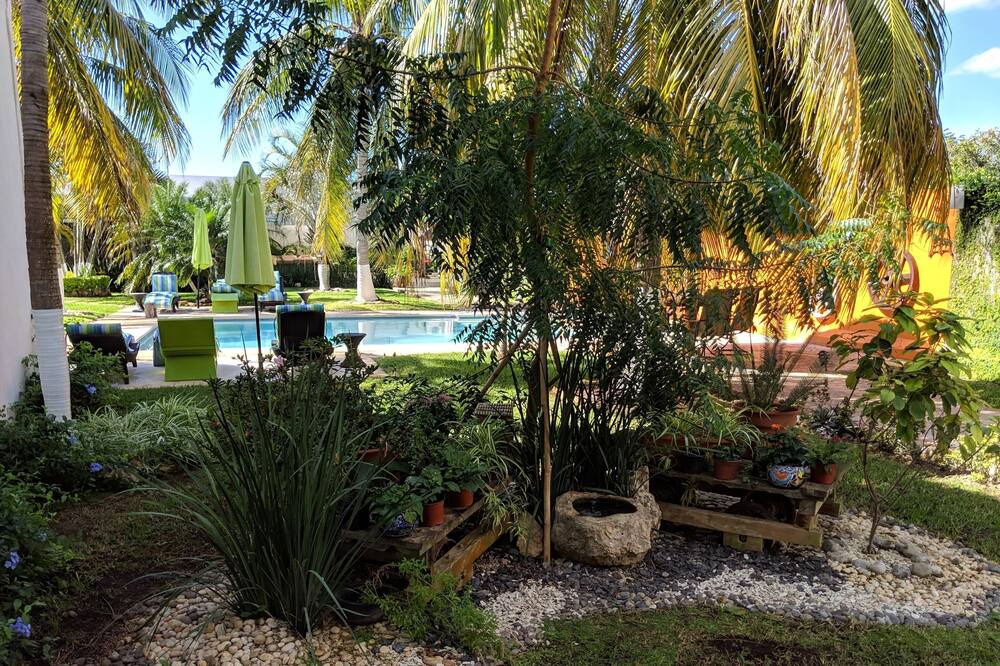 Photo of Outdoor in Merida