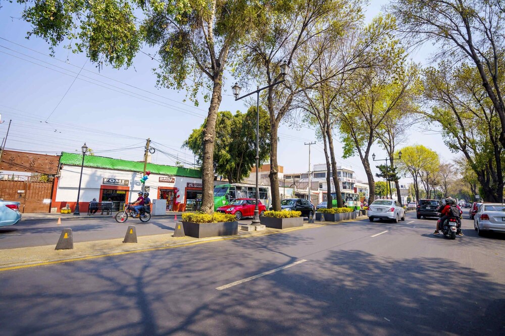 Photo of Others in Xochimilco