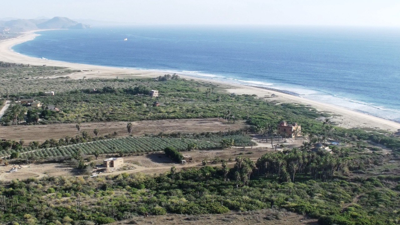 Photo of Others in Todos Santos