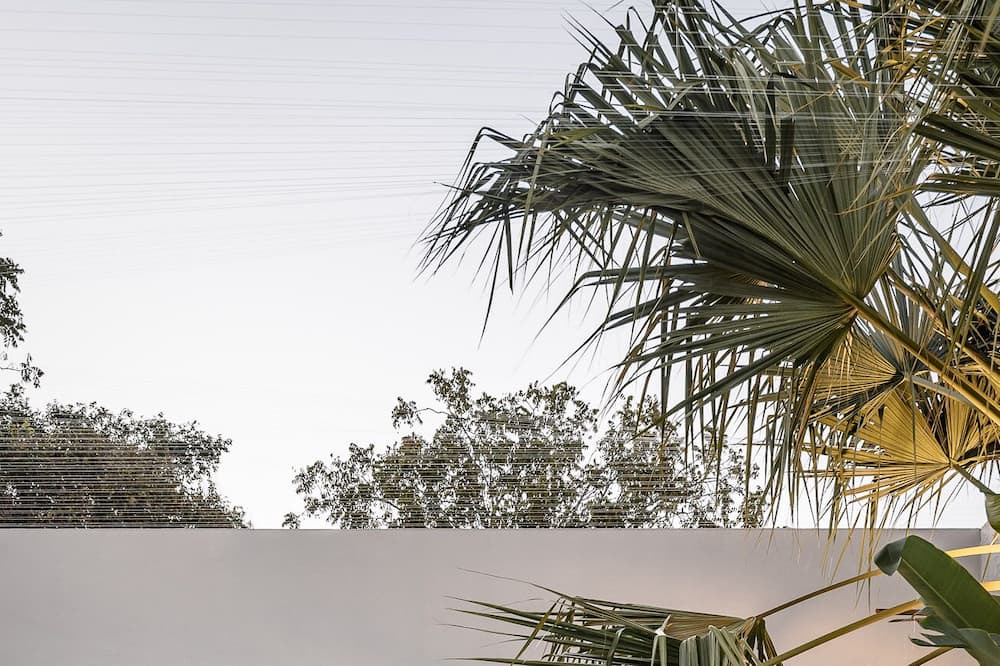 Photo of Outdoor in Centro