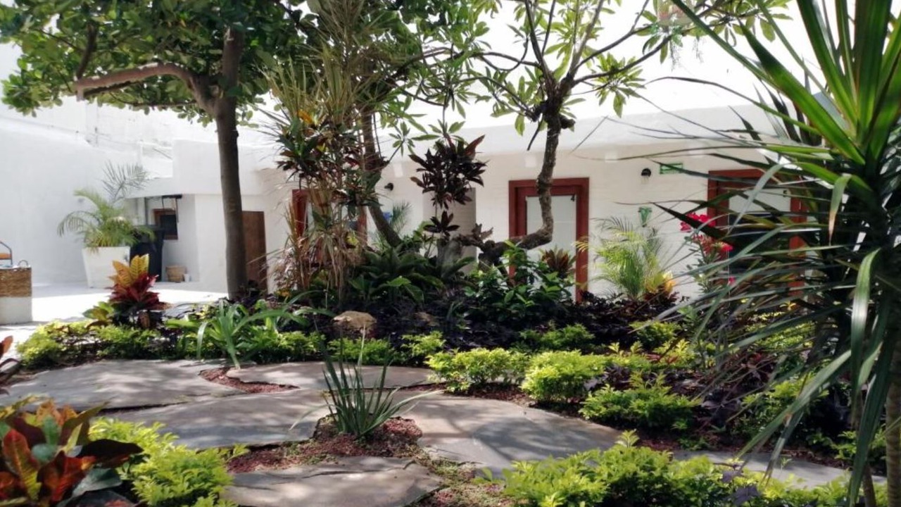 Photo of Outdoor in Sayulita