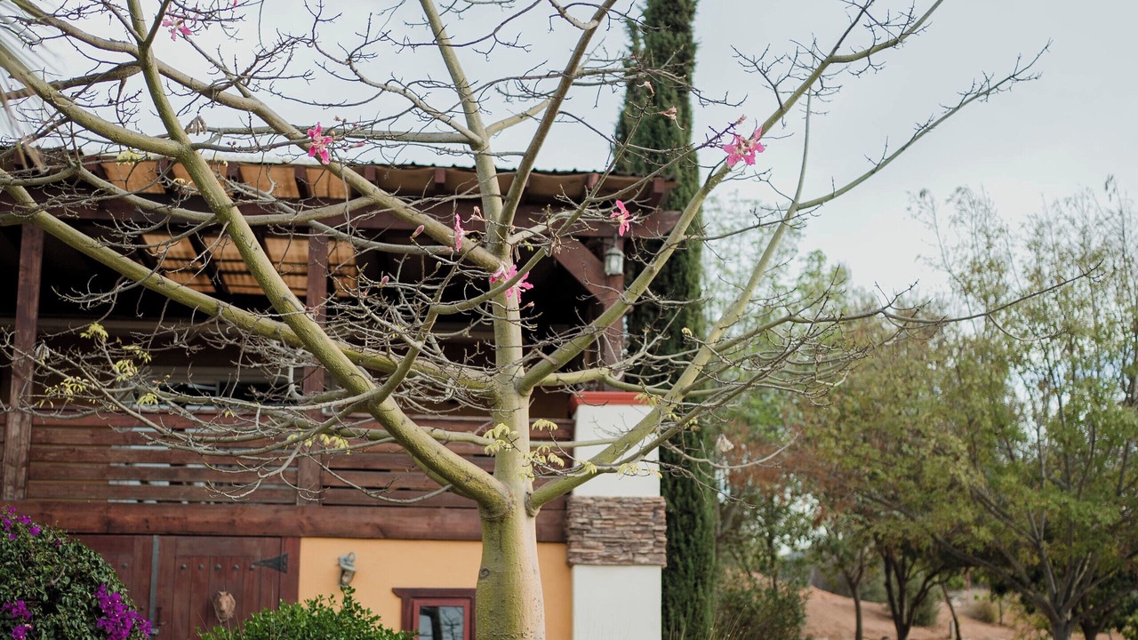 Photo of Outdoor in San Antonio de las Minas