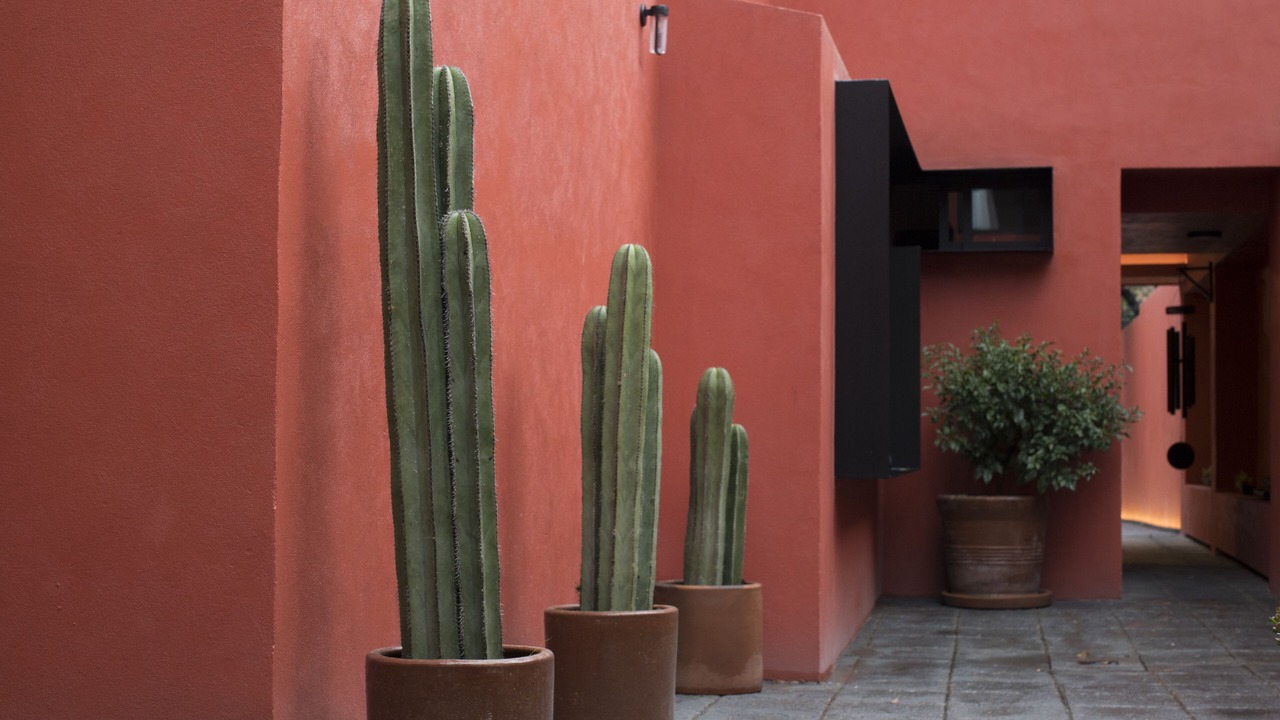 Photo of Outdoor in La Concepcion