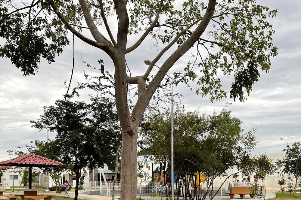 Photo of Outdoor in Fraccionamiento Las Americas
