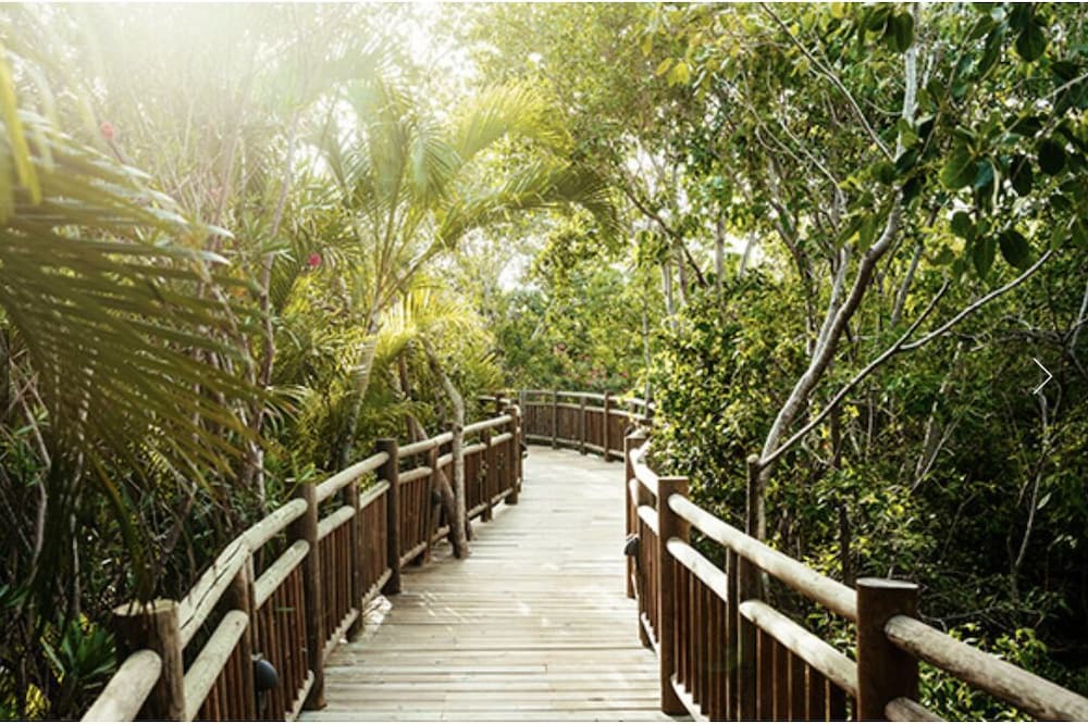 Photo of Outdoor in Villa Juarez