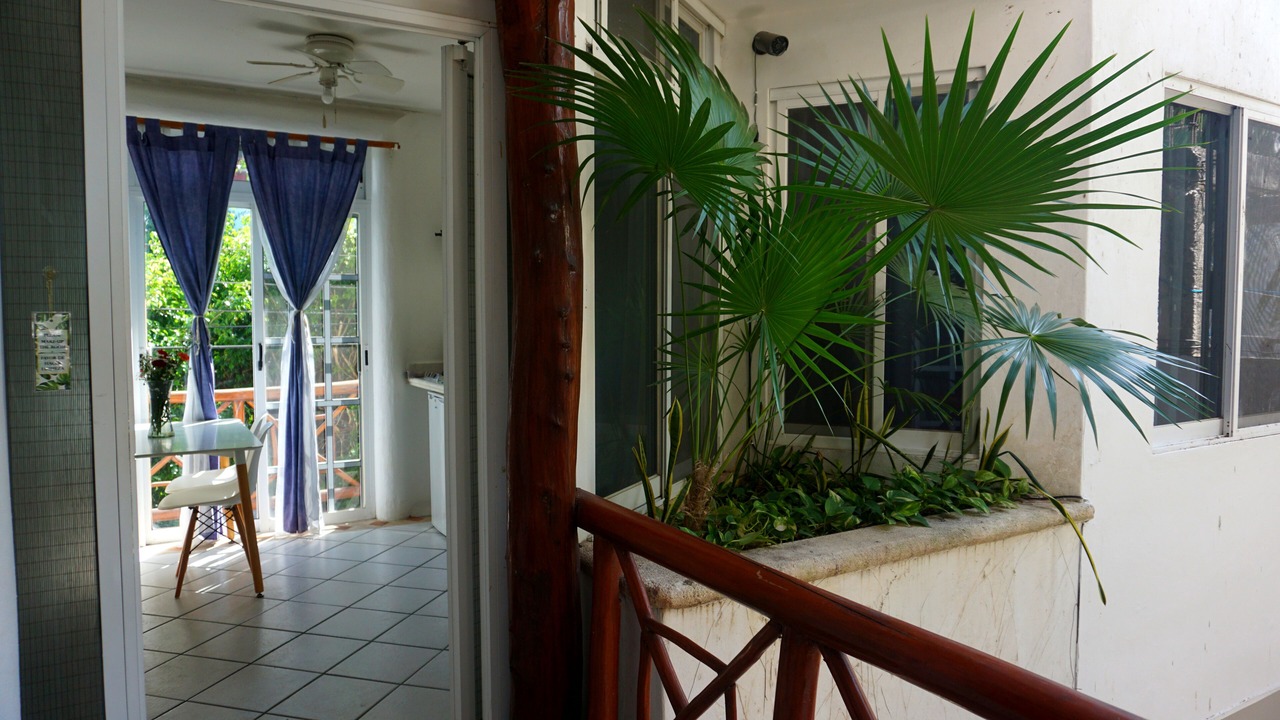 Photo of Outdoor in Zazil-ha