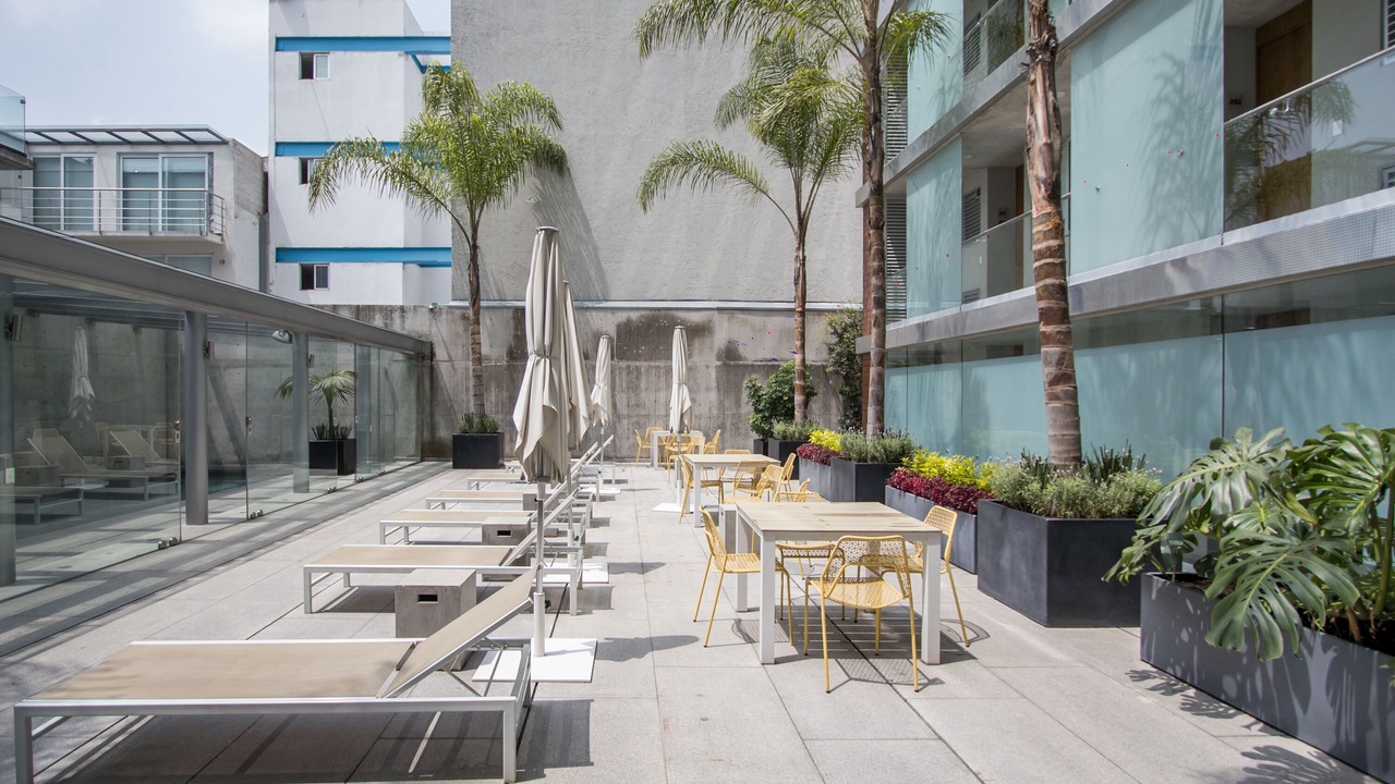Photo of Outdoor in Miguel Hidalgo