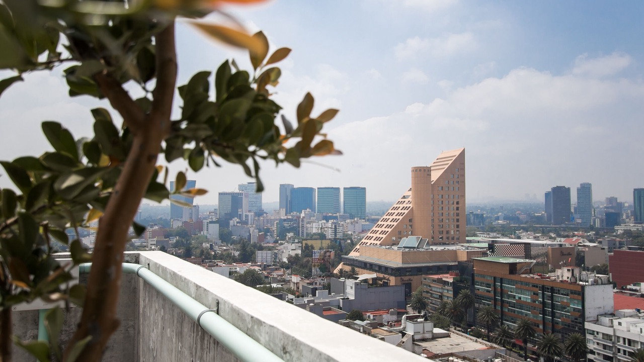 Photo of Outdoor in Miguel Hidalgo