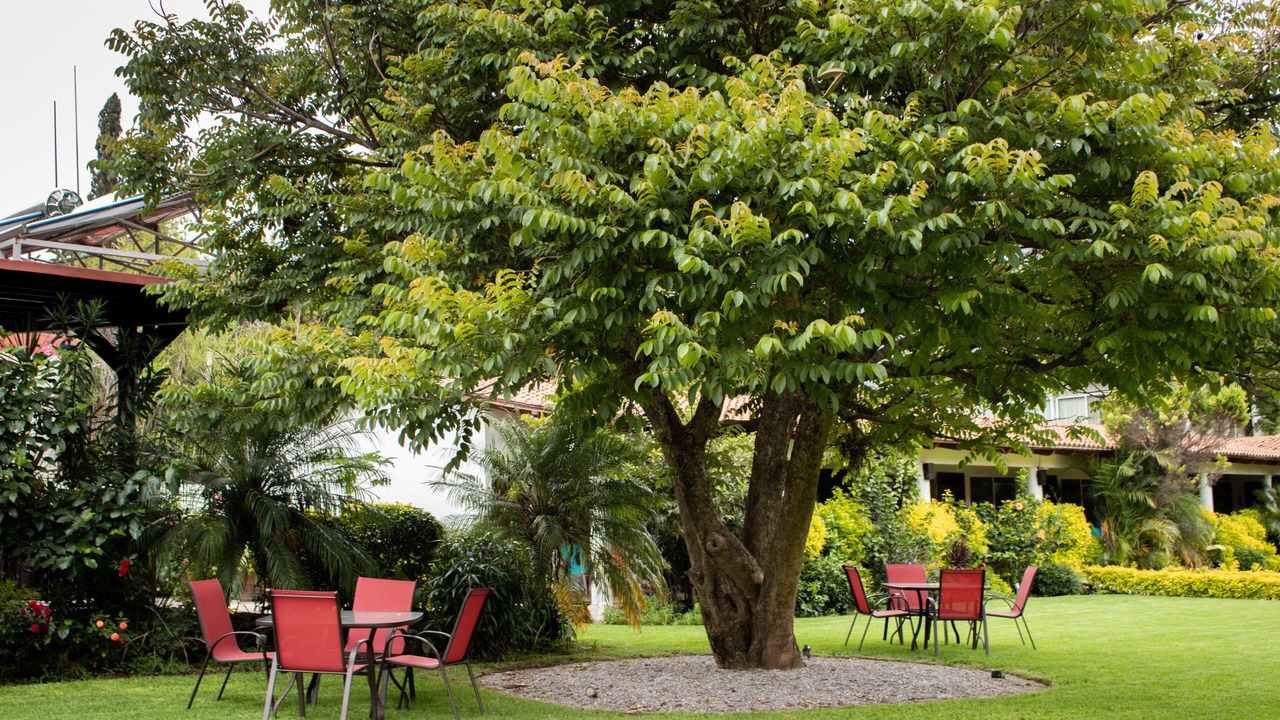 Photo of Outdoor in Tepoztlan