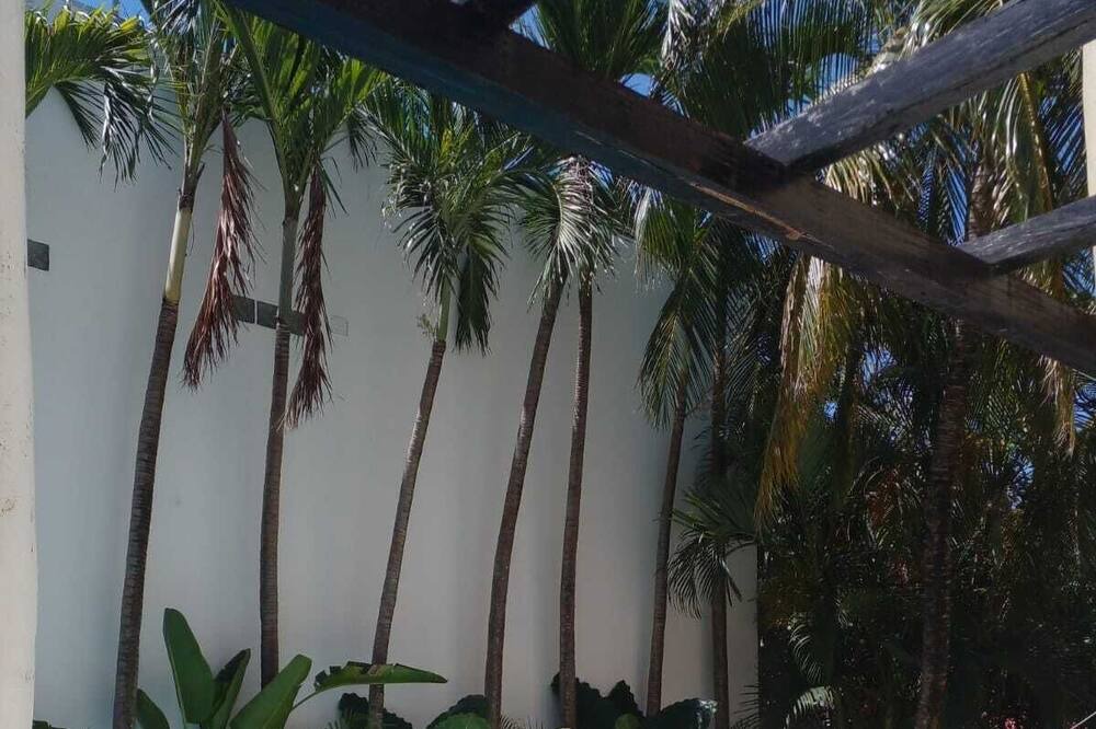 Photo of Outdoor in Playacar Fase I