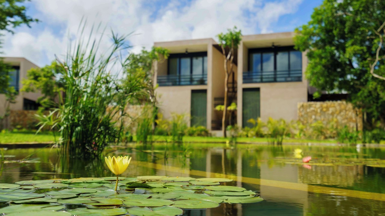 Photo of Outdoor in Merida