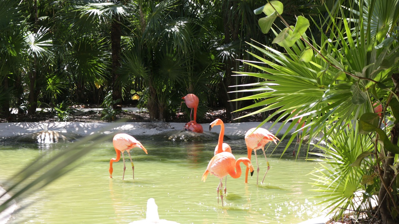 Photo of Outdoor in Villa Juarez
