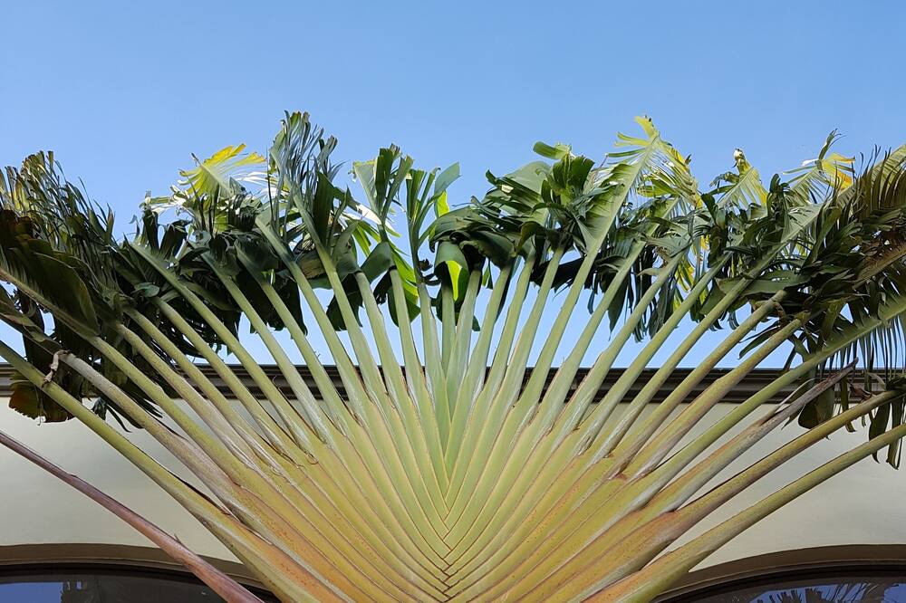 Photo of Patio Balcony in Merida