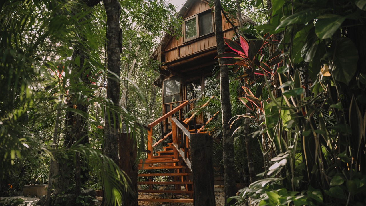 Photo of Outdoor in Leona Vicario