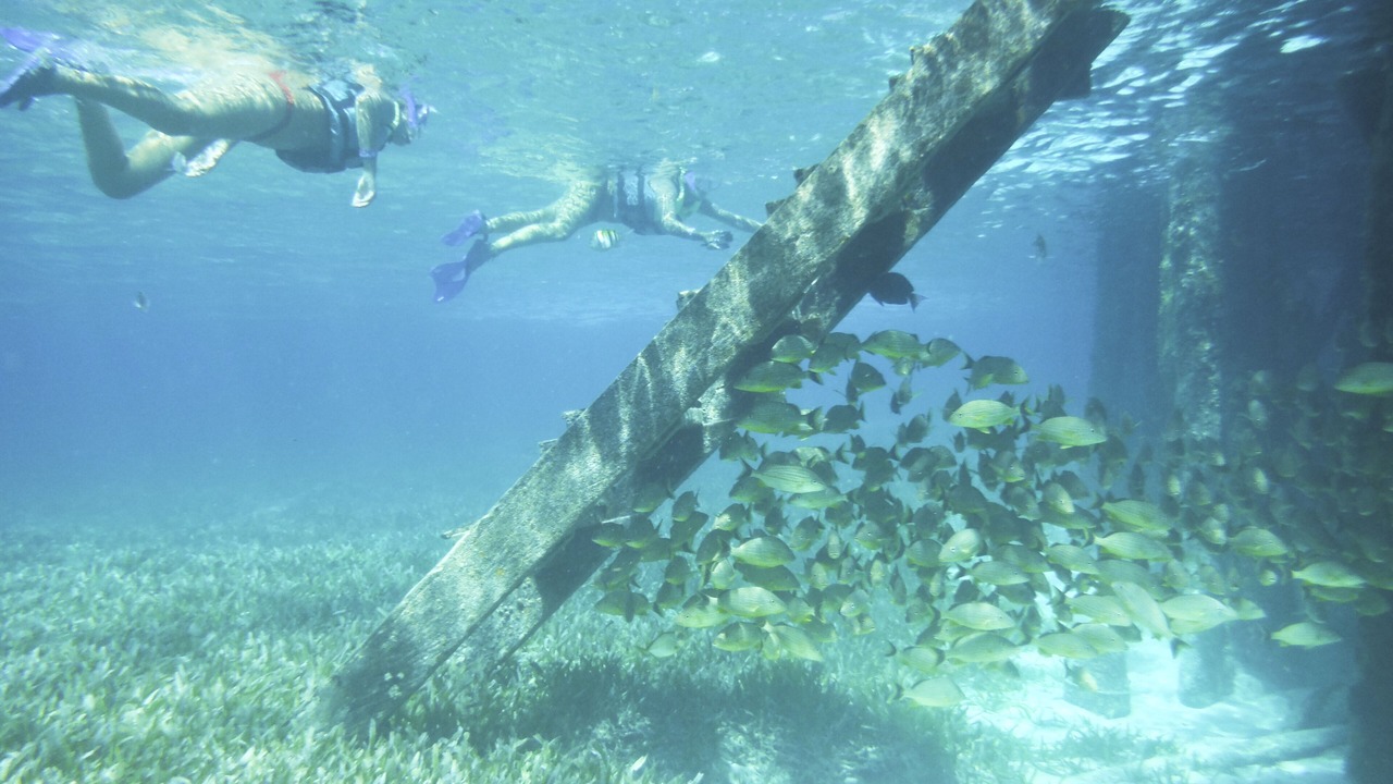 Photo of Others in Isla Mujeres
