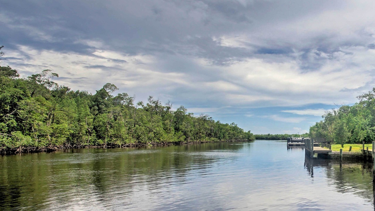 Photo of Outdoor in Everglades City