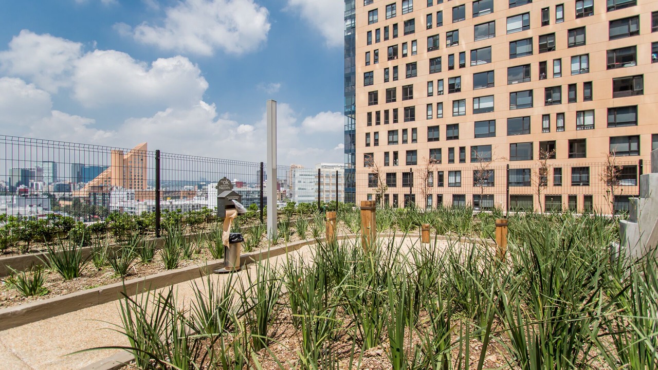 Photo of Outdoor in Miguel Hidalgo