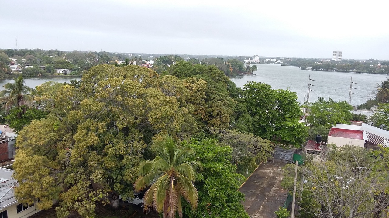 Photo of Outdoor in Villahermosa