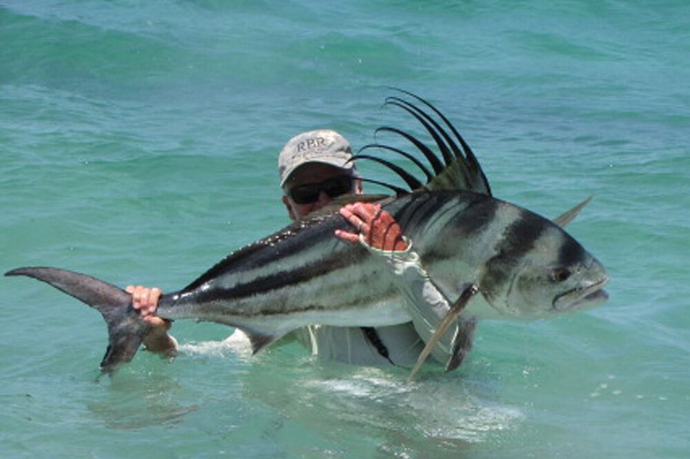 Photo of Others in Los Barriles