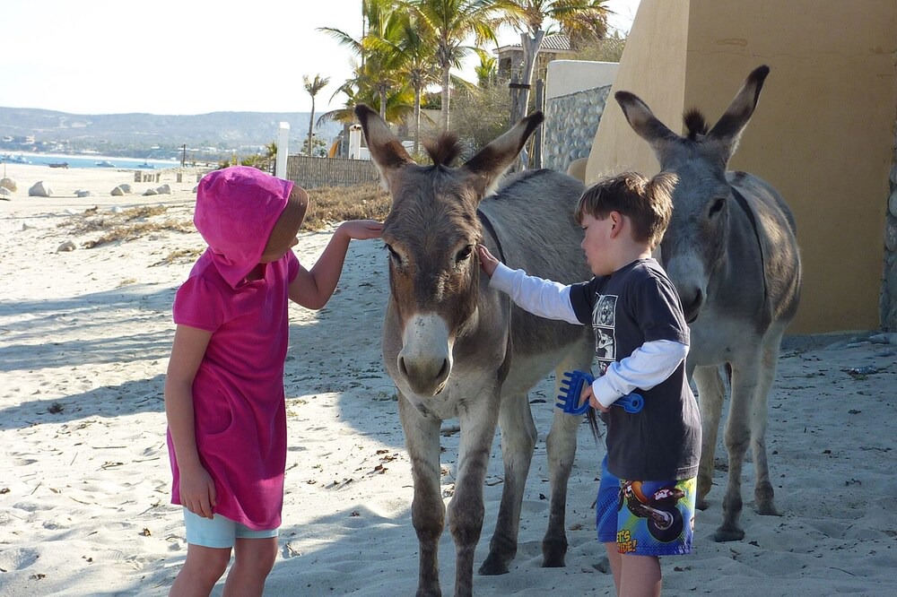 Photo of Others in Los Barriles