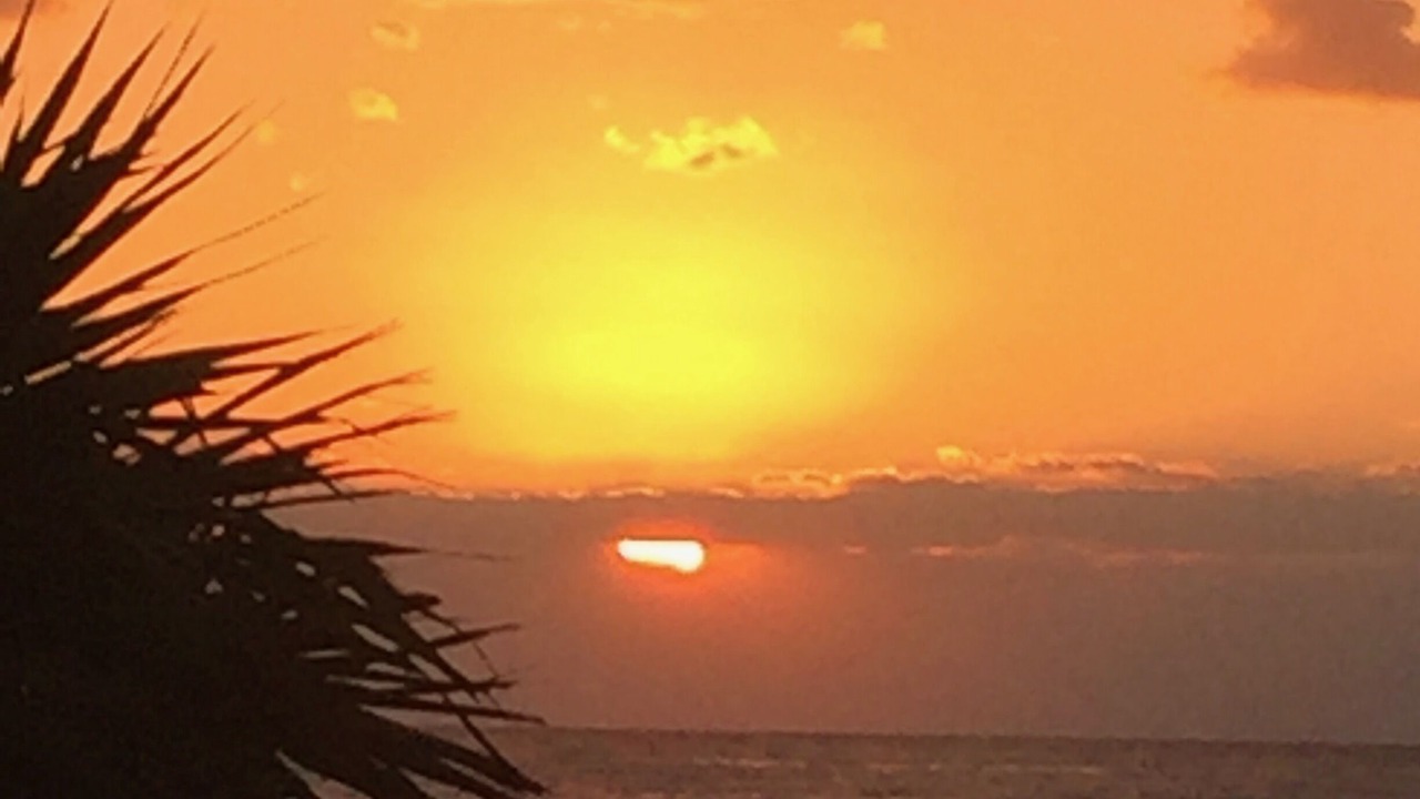 Photo of Others in Akumal