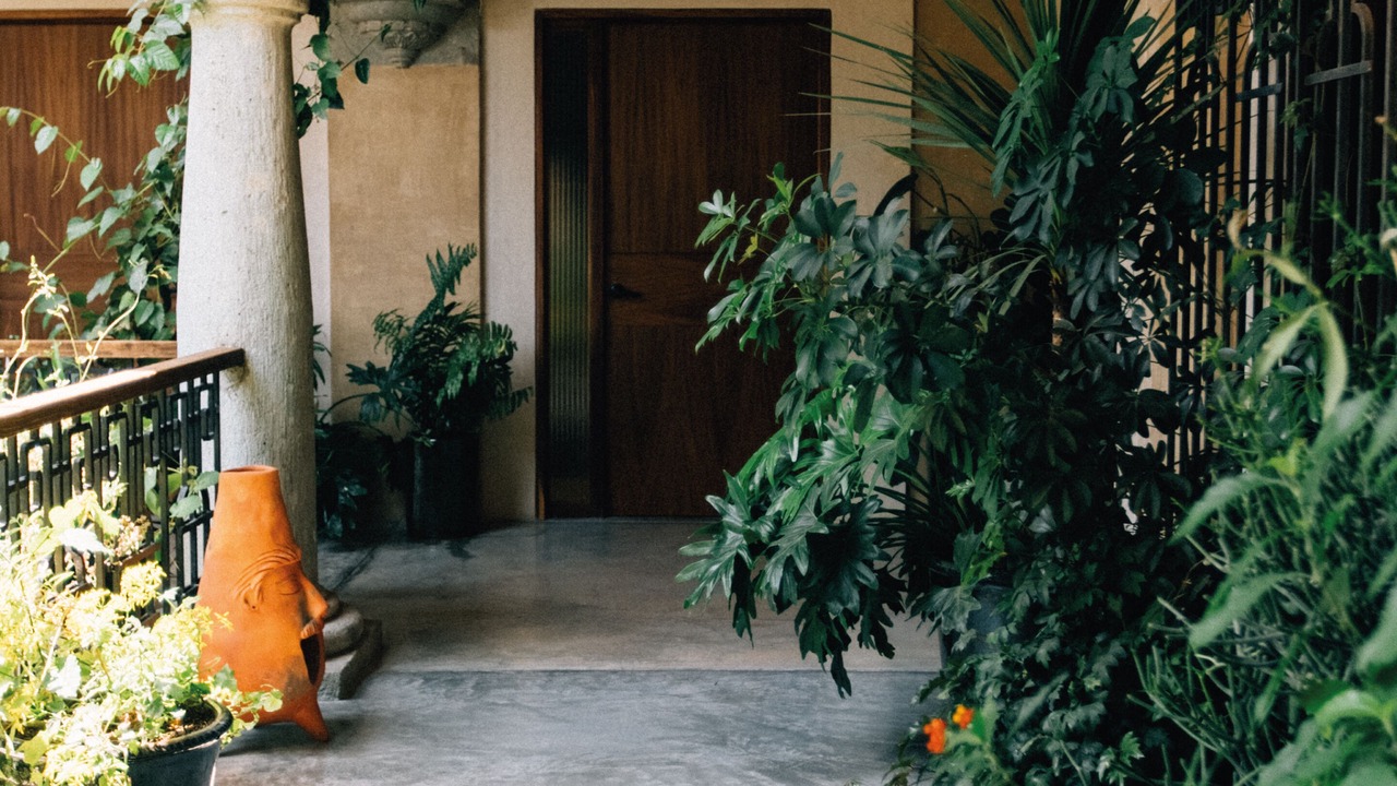 Photo of Patio Balcony in Centro