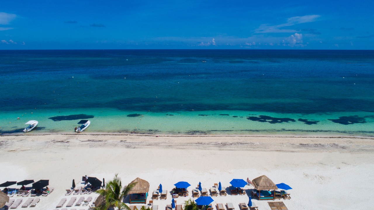 Photo of Others in Puerto Morelos