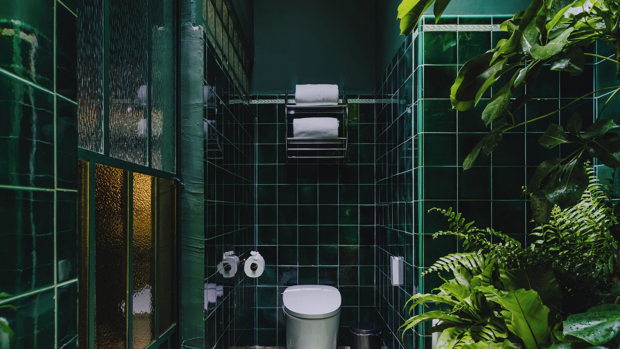 Photo of Bathroom in Roma Norte