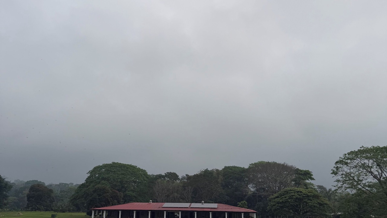 Photo of Outdoor in Teapa