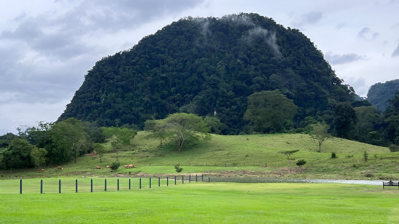 Photo of Outdoor in Teapa