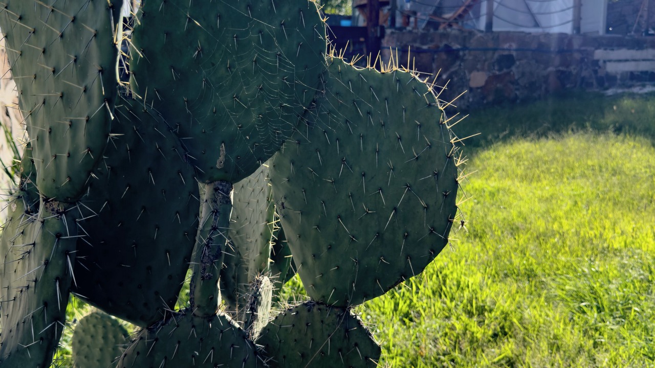 Photo of Outdoor in La Mancha