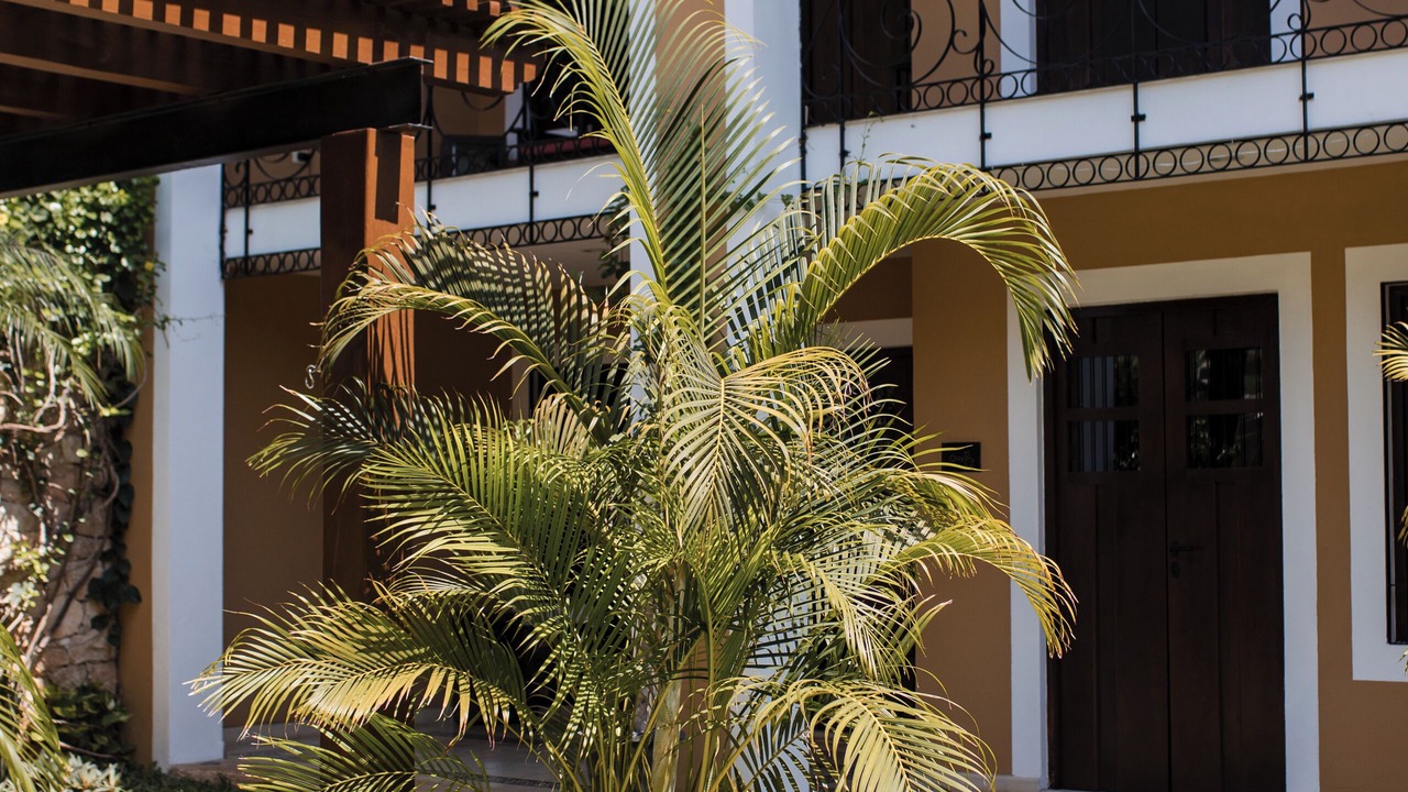Photo of Outdoor in Zona Paseo Montejo