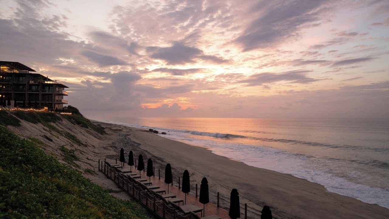 Photo of Others in San Jose del Cabo