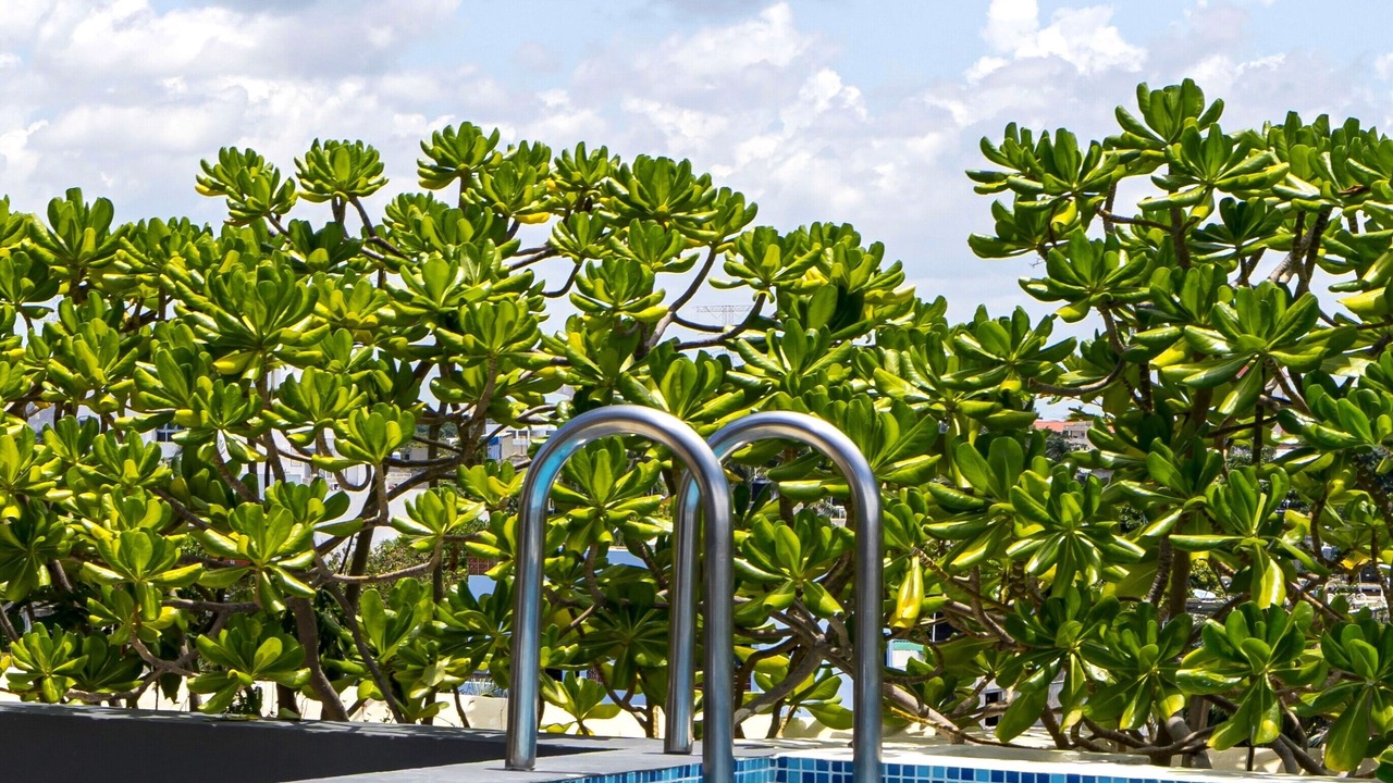 Photo of Outdoor in Luis Donaldo Colosio