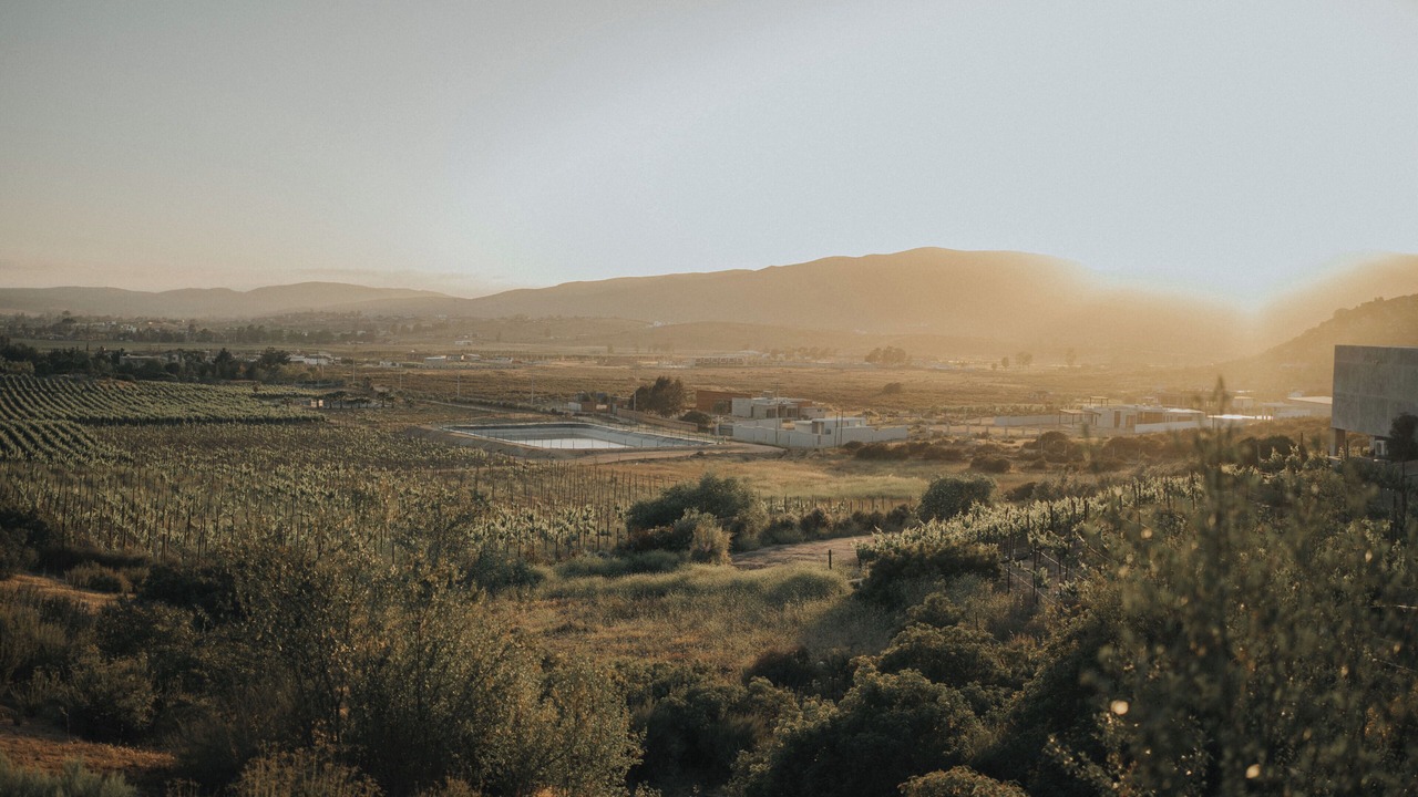 Photo of Others in Valle de Guadalupe