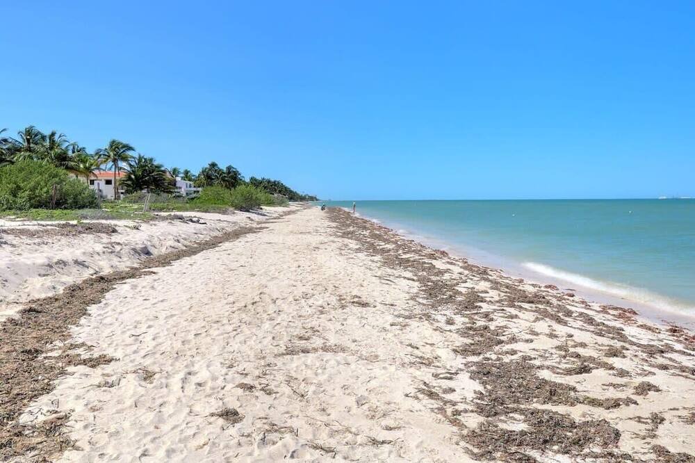 Photo of Others in Chicxulub Puerto