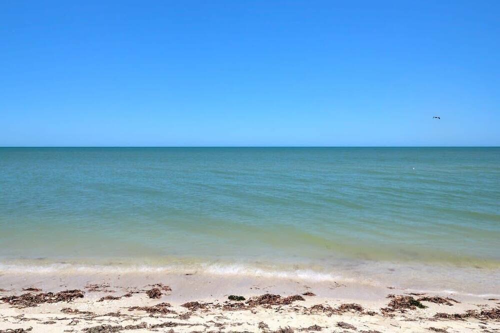 Photo of Others in Chicxulub Puerto