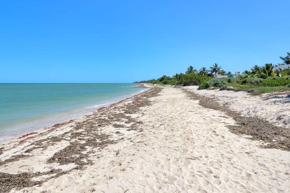 Photo of Others in Chicxulub Puerto